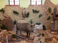 Galeria zdjęć