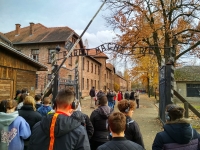 Galeria zdjęć