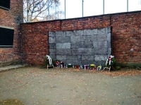 Galeria zdjęć