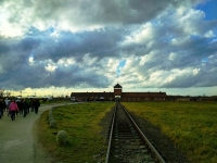 Galeria zdjęć