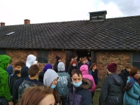 Galeria zdjęć