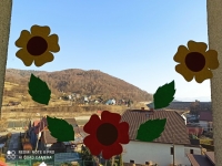 Galeria zdjęć