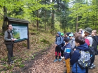 Galeria zdjęć