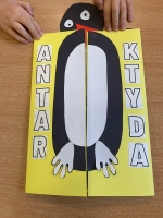 Lapbook - Antarktyda