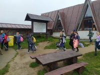 Galeria zdjęć
