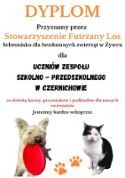 Galeria zdjęć