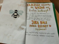 Zachwycający świat zwierząt - zadanie 5