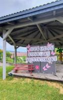 Galeria zdjęć