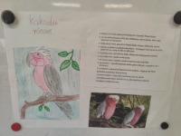 Projekt edukacyjny klasy II - „ZWIERZĘTA ŚWIATA”