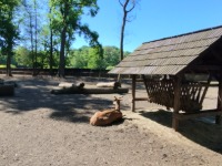 Wycieczka klasy 4 i 5 do Pszczyny