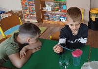 PROJEKT MALI NAUKOWCY - 