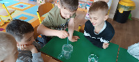PROJEKT MALI NAUKOWCY - 