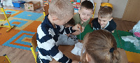 PROJEKT MALI NAUKOWCY - 